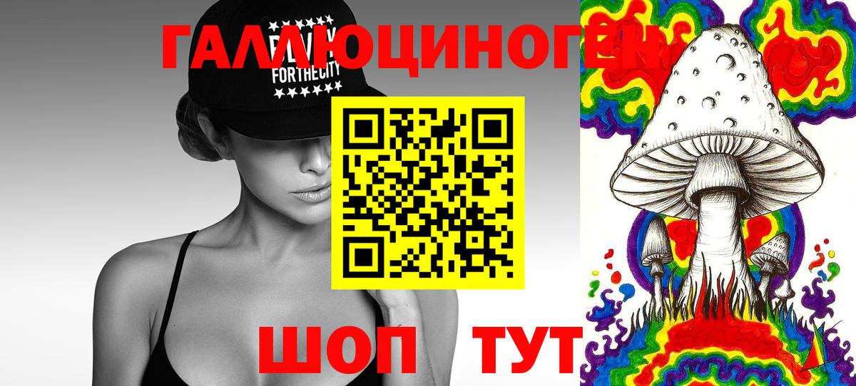 Псилоцибиновые грибы Cubensis Ирбит