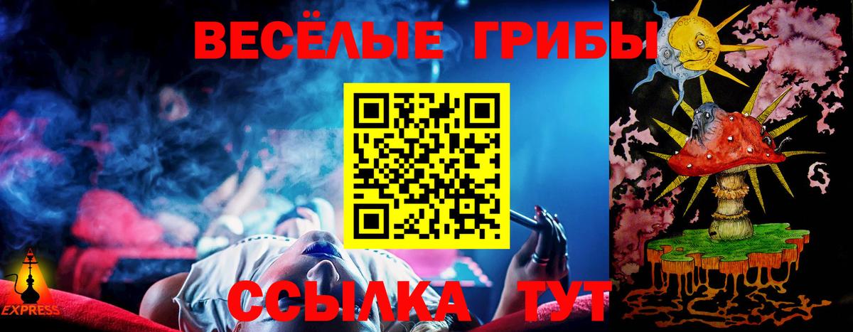 где найти   Вход с VPN  Галлюциногенные грибы GOLDEN TEACHER  Ирбит  Галлюциногенные грибы прущие грибы 